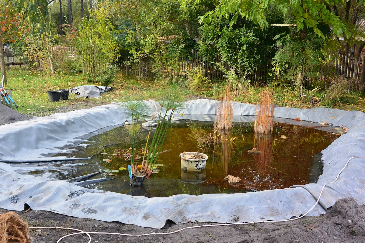 Aménagement d'un bassin à poissons extérieur